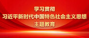 大ji吧caobi视频学习贯彻习近平新时代中国特色社会主义思想主题教育_fororder_ad-371X160(2)